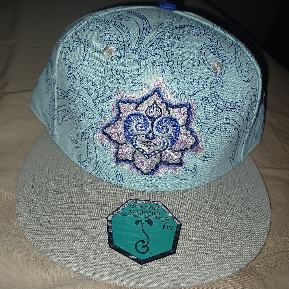 Grassroots snapback
